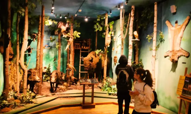 Muzeum Łowiectwa i Jeździectwa: Łazienki Wystawy, bilety, dojazd