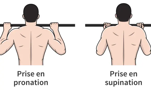Comparaison de la prise en pronation et supination pour un exercice de traction. La pronation traction sollicite différemment les muscles du dos.