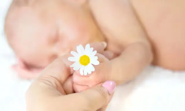 Un neonato dorme serenamente, mentre una mano adulta tiene delicatamente un fiore di camomilla, simbolo di dolcezza e cura per bambini.