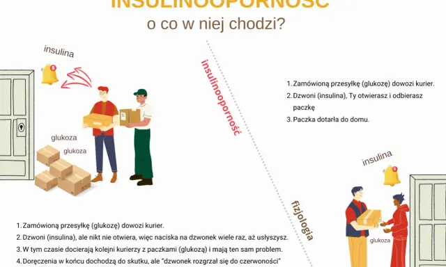 Ilustracja wyjaśnia insulinooporność: kurierzy z glukozą nie mogą się dodzwonić, bo insulina nie działa.