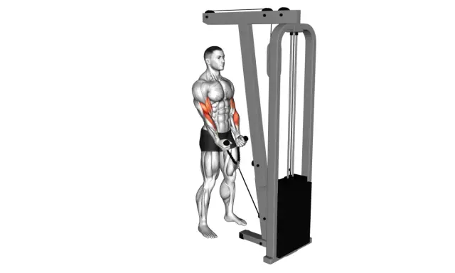 Mann macht Hammer Curls am Kabelzug, um seine Bizeps zu trainieren.