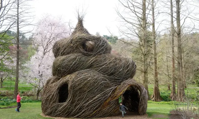 Sculpture monumentale en branches tressées, ressemblant à un **arbre en cépée** géant, avec des enfants jouant autour.