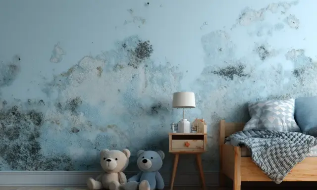 Schimmel an der Wand im Kinderzimmer. Die Auswirkungen von Schimmel auf ungeborene Kinder sind besorgniserregend.