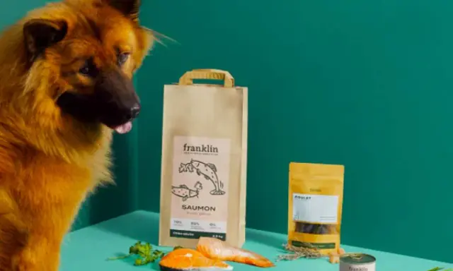 Un chien regarde des produits Franklin, dont un sac de saumon. Avis vétérinaire positif pour Franklin pet food.
