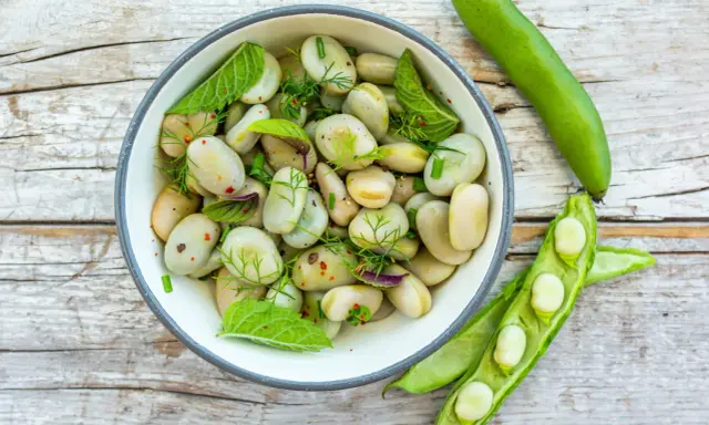 Salade de fèves fraîches, assaisonnée d'herbes et d'épices. La cuisson des fèves est simple et savoureuse.