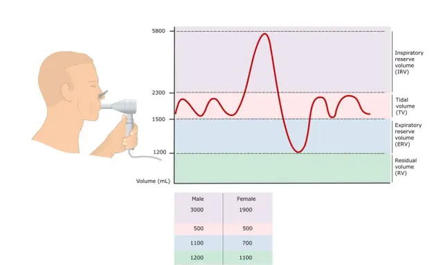 Grafika pokazuje badanie spirometrii z wykresem objętości płuc i tabelą spirometria normy.