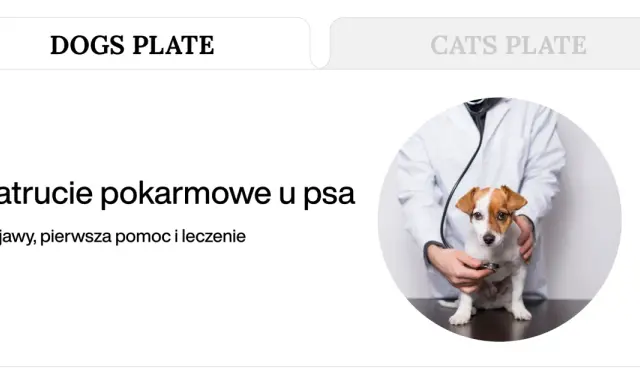 Weterynarz bada psa z objawami zatrucia pokarmowego. Szybka reakcja może zapobiec temu, po czym pies zdechnie.