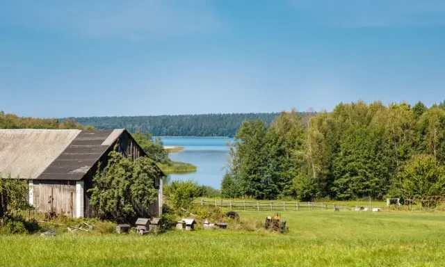 Działka siedliskowa nad jeziorem, z drewnianą stodołą, zieloną łąką i lasem w tle.