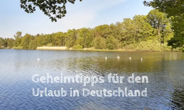 Idyllischer See mit Bäumen und Schwänen. Ein Geheimtipp für den Kurztrip Deutschland.
