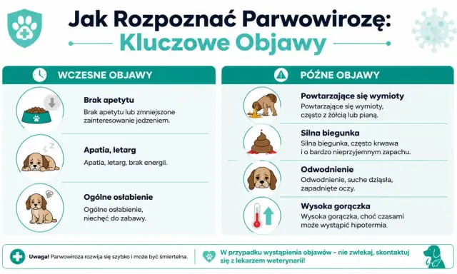 Objawy parwowirozy u psa: brak apetytu, apatia, wymioty, biegunka, odwodnienie, gorączka. Szybka reakcja jest kluczowa.