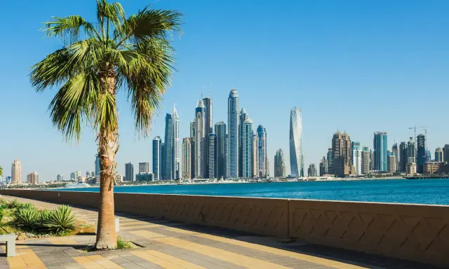 Palma na tle drapaczy chmur w Dubaju. Idealna pogoda w Dubaju w grudniu, błękitne niebo i spokojne morze.