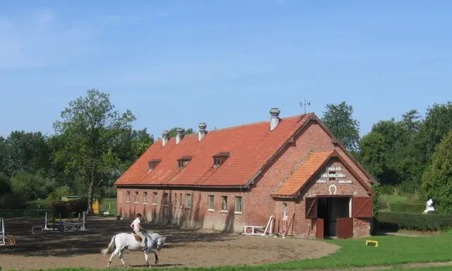 Stadniny koni w Polsce: Gdzie historia spotyka jeździecką pasję?