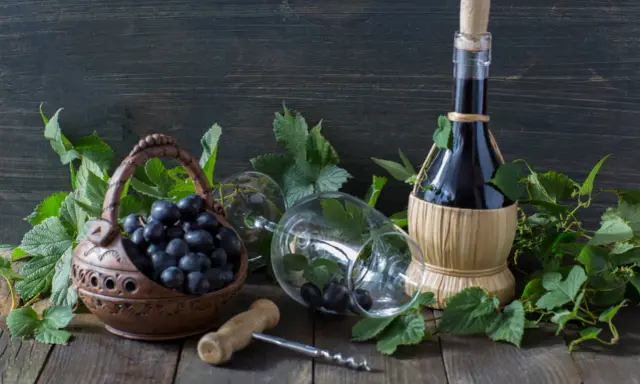 Jak zrobić wino z winogron? Kompletny poradnik krok po kroku