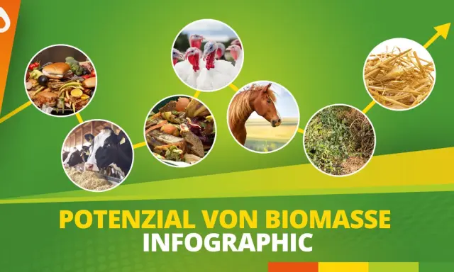 Biomasse Beispiele: Kühe, Pferde, Truthähne, Essensreste, Pflanzen und Stroh zeigen das Potenzial von Biomasse.