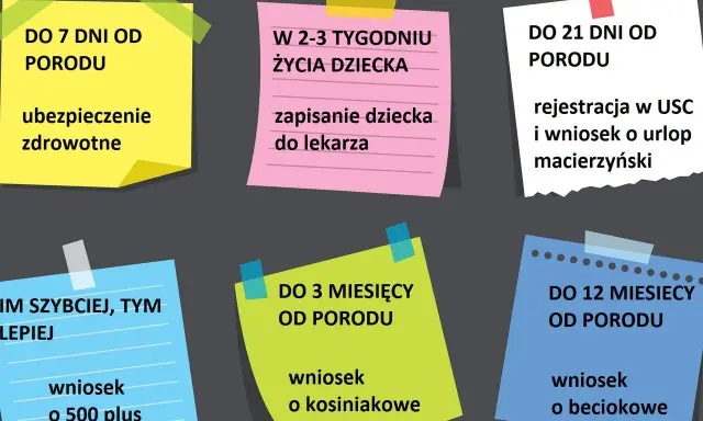 Terminy na załatwienie formalności po porodzie: ubezpieczenie, rejestracja dziecka, wniosek o urlop macierzyński, 500+, becikowe i kosiniakowe.