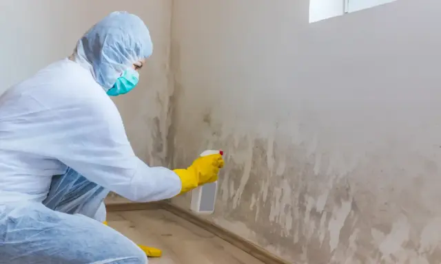 Persona con traje protector y guantes amarillos aplica spray a pared con moho, buscando remedios caseros para quitar el moho de las paredes.