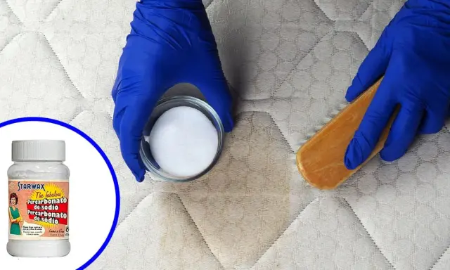 Manos enguantadas aplican percarbonato de sodio con cepillo a un colchón manchado. El perborato para que sirve: limpieza profunda.