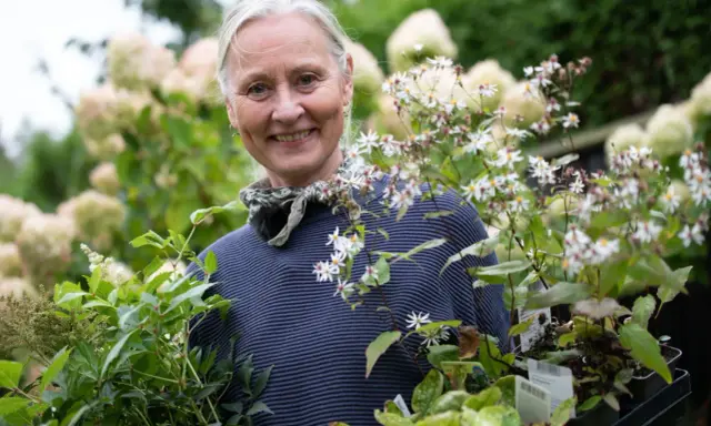 Glad kvinna med perenner i händerna, redo att flytta perenner till en ny plats i trädgården.
