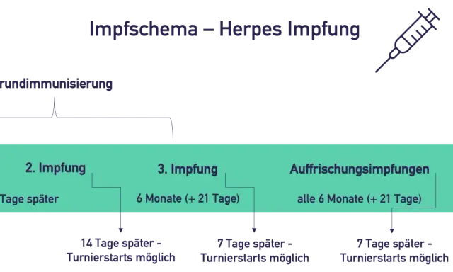 Schema für die Herpes Impfung bei Pferden: Grundimmunisierung mit 3 Impfungen, danach Auffrischungsimpfungen alle 6 Monate.