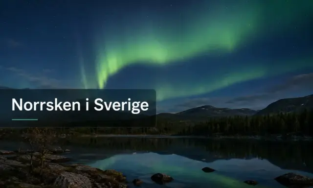 Grön aurora dansar över en spegelblank sjö i Sverige.