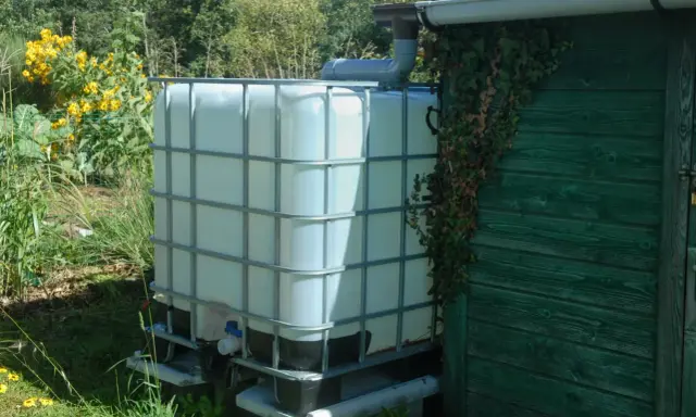 Installation récupérateur eau de pluie : un grand réservoir blanc relié à une gouttière, à côté d'une cabane verte envahie par le lierre.