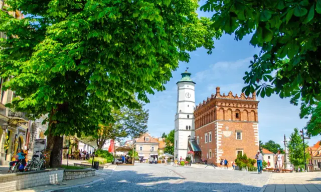 Rynek w Sandomierzu z ratuszem i wieżą zegarową, otoczony drzewami i kamienicami.