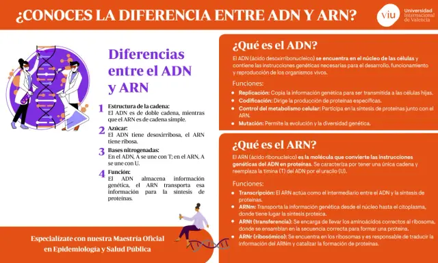 Ilustración comparativa de la adn y arn estructura, mostrando científicos y moléculas.
