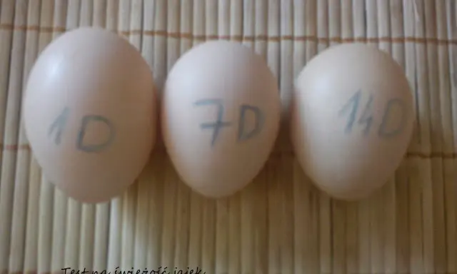 Trzy jajka z oznaczeniami 1D, 7D i 14D, pokazujące, jak sprawdzić czy jajko jest dobre.