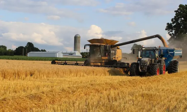 A combine harvests a golden wheat field, transferring grain to a tractor-pulled cart. This scene highlights harvest safety tips in action.