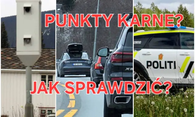 Trzy panele: fotoradar, samochody na drodze, radiowóz policyjny. Czerwony napis: "Punkty karne? Jak sprawdzić?".