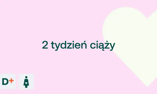 2 tydzień ciąży. Malutkie serduszko zaczyna bić, a dziecko rośnie w brzuchu.
