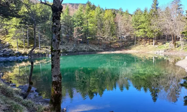 Il lago delle lame, con le sue acque smeraldine, riflette la foresta e il cielo azzurro. Un tronco d'albero in primo piano aggiunge profondità.