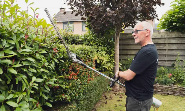 Un homme utilise un taille-haie pour tailler une haie verte et luxuriante, parfaite pour savoir quand tailler les haies.