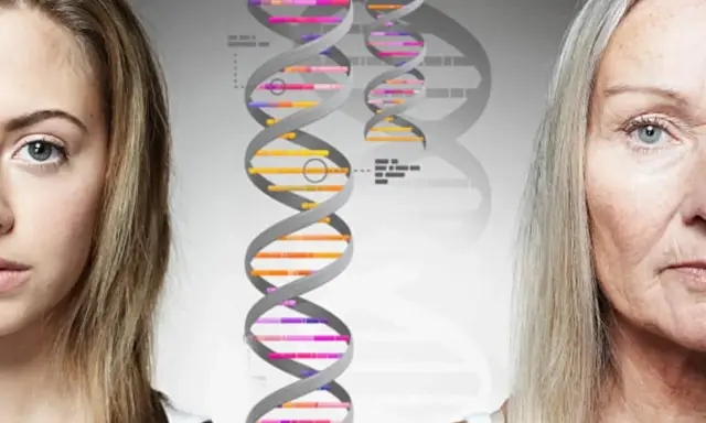 Mitad de rostro de joven y anciana, con cadenas de ADN en el centro. Los genes se heredan, mostrando la continuidad a través del tiempo.