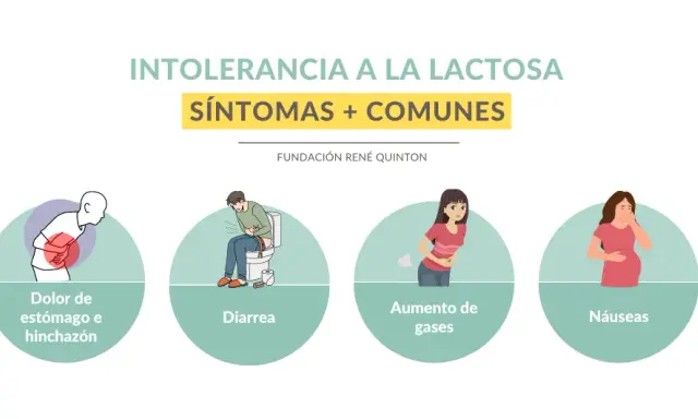 Síntomas de intolerancia a la lactosa: Identifica y vive sin molestias
