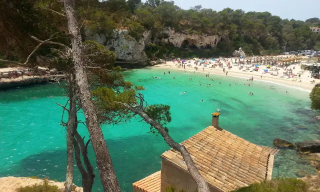 Majorka: turkusowa woda, piaszczysta plaża pełna ludzi i parasoli, skaliste klify, sosny i mały domek z czerwoną dachówką.