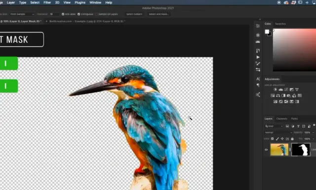 Jak usunąć białe tło w Photoshopie? Od AI po detale!
