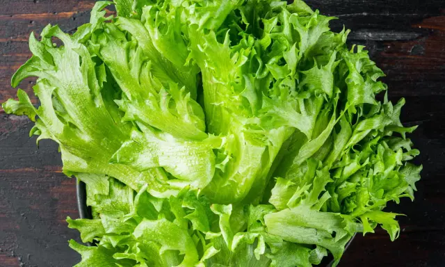 Une belle salade batavia, fraîche et croquante, prête à être dégustée. Ses feuilles vertes vives promettent une texture légère et une saveur délicate.