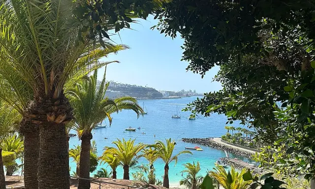 Palmeras en primer plano, vista de una bahía azul con barcos y una playa, ideal para unas vacaciones con niños en la playa.