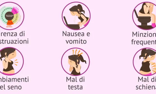 Sintomi di gravidanza: assenza di mestruazioni, nausea, minzione frequente, cambiamenti del seno, mal di testa e mal di schiena.