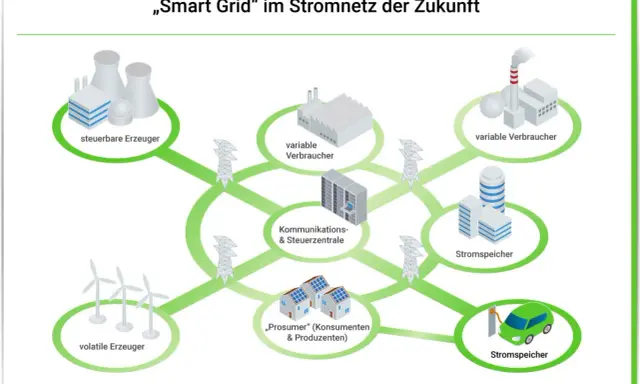 Schema eines Smart Grids in Deutschland: steuerbare und volatile Erzeuger, Verbraucher, Speicher und eine zentrale Steuerung.