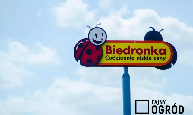 Kinder Niespodzianka w Biedronce: Cena, promocje i triki na oszczędności
