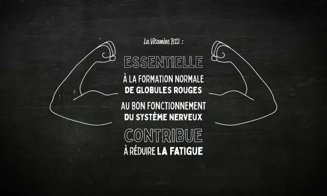 La vitamine B12, essentielle pour les globules rouges et le système nerveux, contribue à réduire la fatigue. Un effet immédiat pour plus d'énergie !