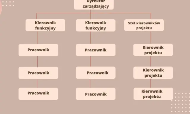Schemat przedstawia strukturę organizacyjną firmy: Dyrektor zarządzający, kierownicy funkcyjni i projektowi oraz pracownicy.