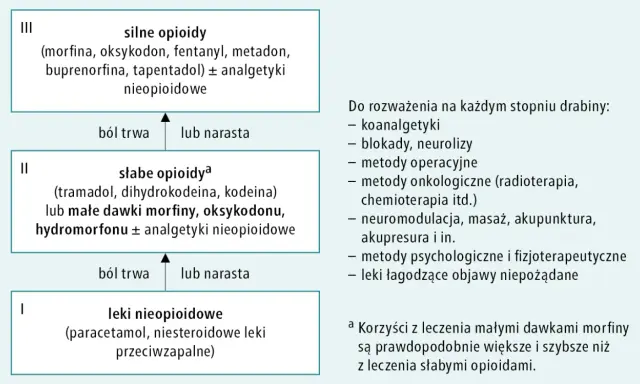 Schemat drabiny analgetycznej: leki nieopioidowe, słabe opioidy (np. oksykodon), silne opioidy (np. oksykodon 80 mg).