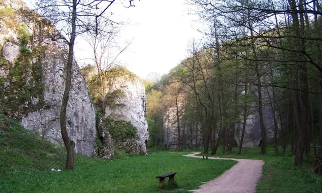 Ścieżka w Dolinie Mnikowskiej prowadzi przez zieloną łąkę, otoczoną skalnymi ścianami i drzewami.