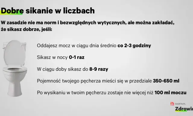 Ile razy dziennie powinno się sikać? W ciągu dnia średnio co 2-3 godziny, w nocy 0-1 raz. W sumie do 8-9 razy na dobę.
