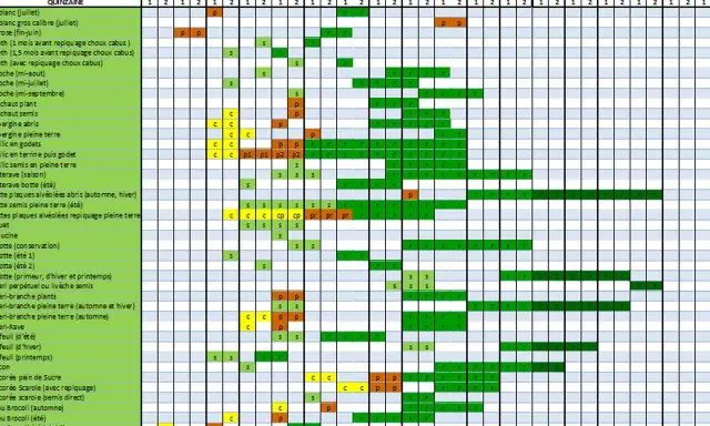 Calendrier d'association de plantes pour le potager : semis, repiquage et récolte des légumes sur l'année.