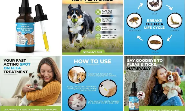 Une femme câline son chien, avec une bouteille de traitement anti puces naturel. Le produit est facile à appliquer et efficace.