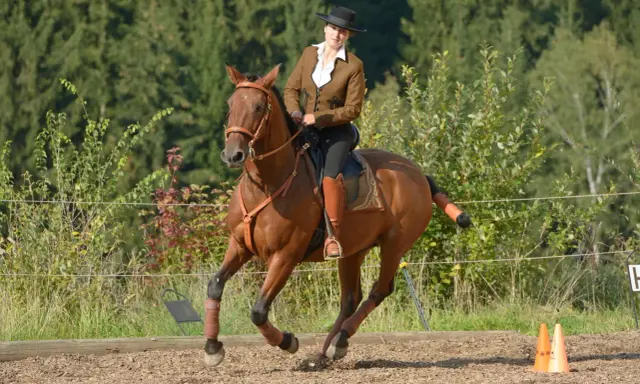Reiterin in brauner Reitjacke und Hut auf einem braunen Pferd, das im Trab über den Reitplatz galoppiert. Ein ruhiges Bein beim Reiten ist zu sehen.